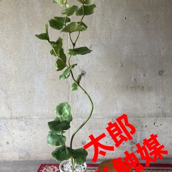 光触媒 人工観葉植物 ウォールグリーン フェイクグリーン シー 光触媒 人工観葉植物 ウォールグリーン フェイクグリーン シー