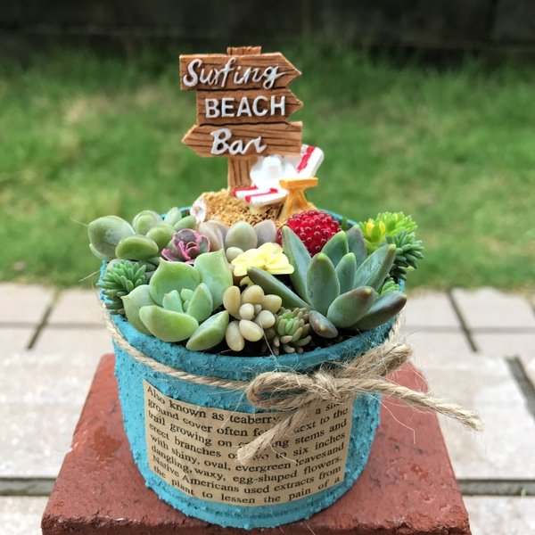 多肉植物の寄せ植え♡SurfBeach♡そのまま飾れる-