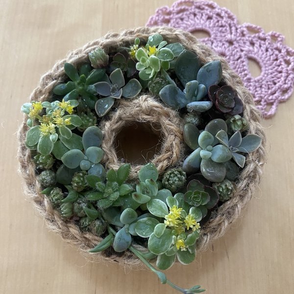 受注販売】麻紐リース ♡多肉植物のちまちま寄せに♡ - toybox21 受注販売】麻紐リース ♡多肉植物のちまちま寄せに♡ - toybox21
