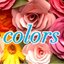 colorsさんのショップ