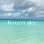 hauoli skyさんのショップ