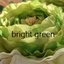 bright greenさんのショップ