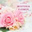 wisteria flowersさんのショップ