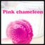 Pink_chameleonさんのショップ
