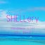 SHELLeryさんのショップ