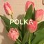 POLKAさんのショップ