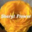 sheryl  flowerさんのショップ