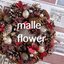 ◯ malle  flower  ◯ さんのショップ