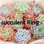 succulent Ring ♔︎さんのショップ