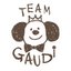 Team Gaudiさんのショップ
