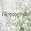 Gypsophilaさんのショップ