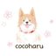 cocoharuさんのショップ