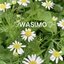 WASIMOさんのショップ