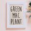 GREEN MAC ＰLANTさんのショップ