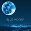 BLUE MOON*さんのショップ