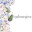 hydrangeaさんのショップ