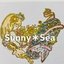 Sunny＊Sea(サニーシー)さんのショップ