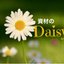 資材のDaisyさんのショップ