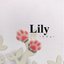 Lily(リリィ)さんのショップ