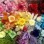 花材専門店🌸花ごころたっくんさんのショップ