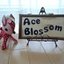 Ace Blossomさんのショップ