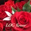 LOG flowerさんのショップ