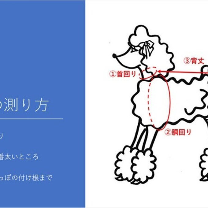 作品画像15枚目