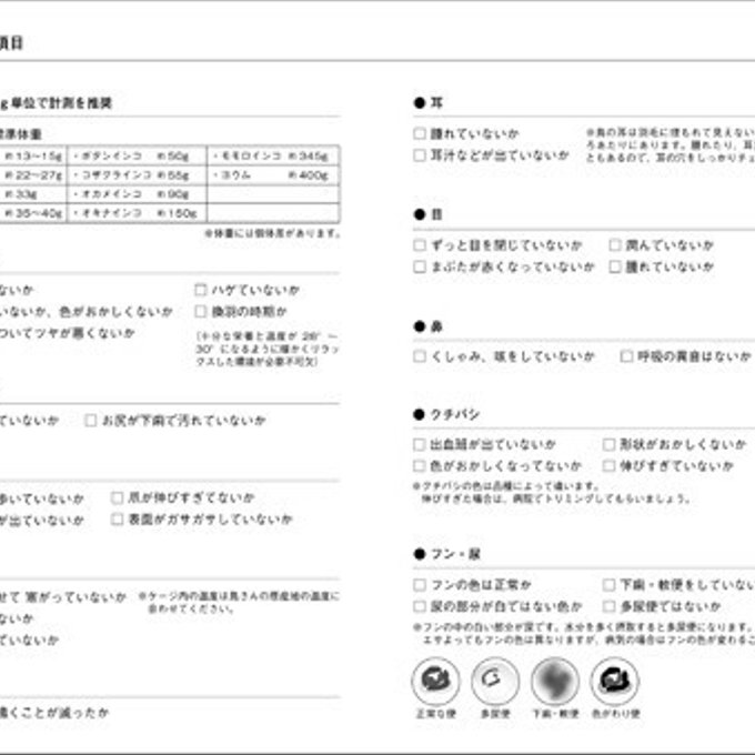 作品画像3枚目