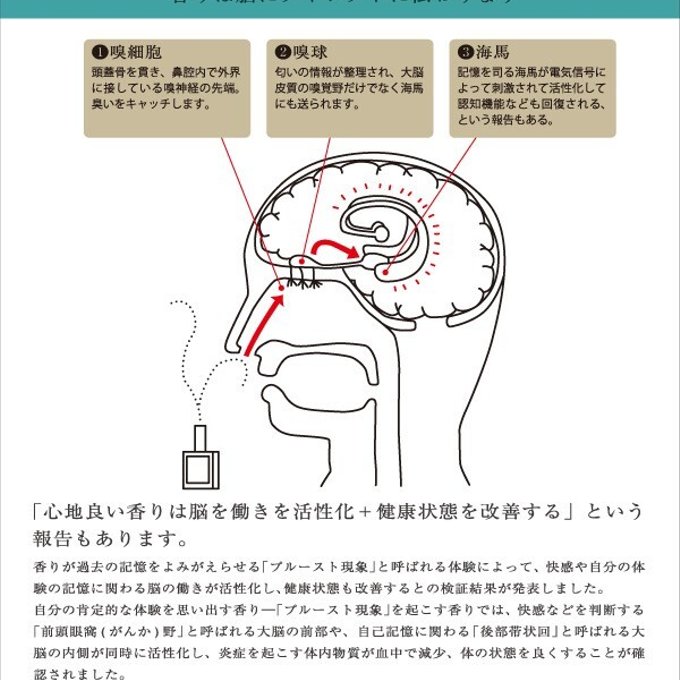 作品画像8枚目