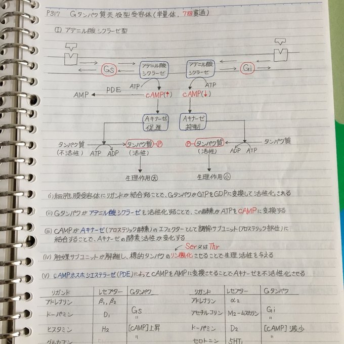 作品画像10枚目