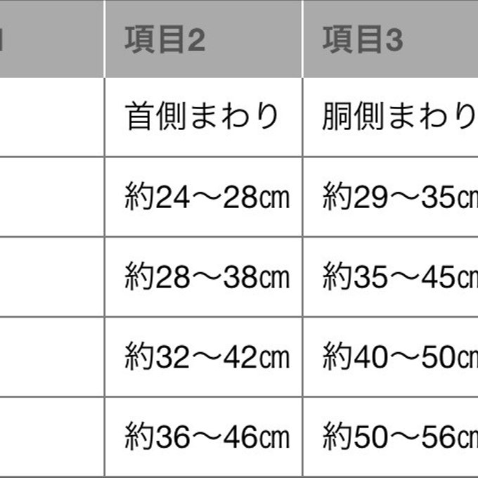 作品画像8枚目