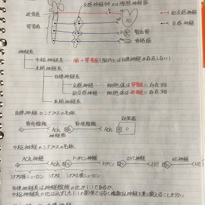 作品画像7枚目