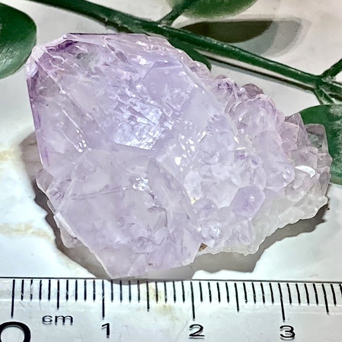 ファントム✨カクタスアメジスト サボテン水晶 ラフストーン 原石 www ...