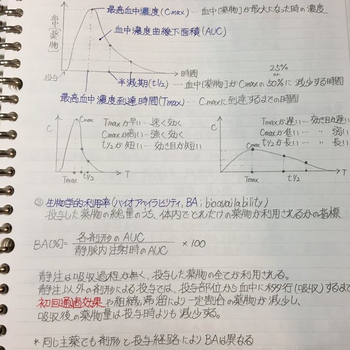 作品画像2枚目