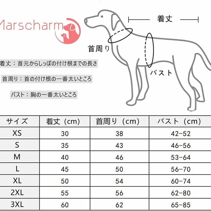 作品画像9枚目