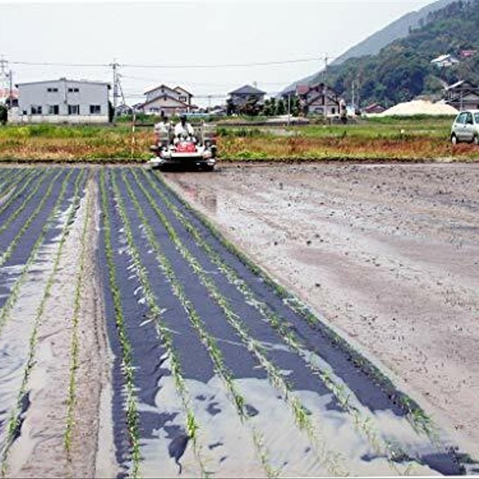 作品画像7枚目