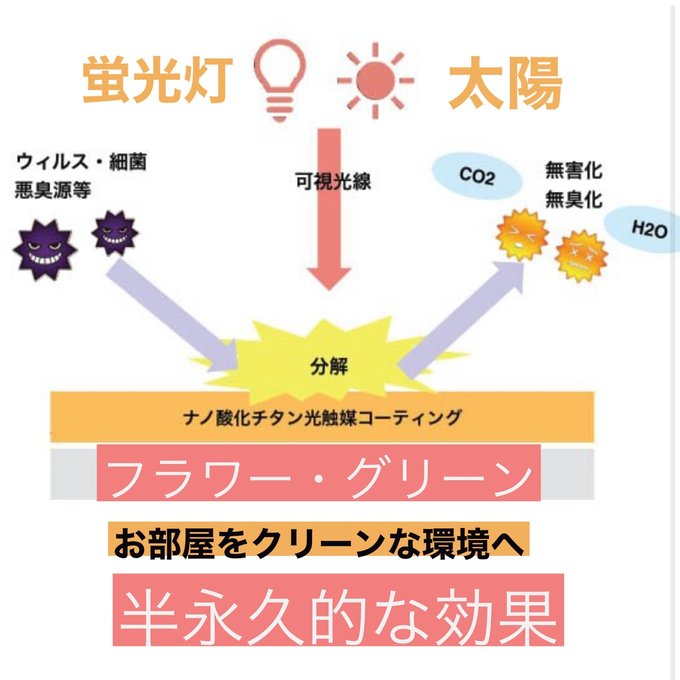 作品画像16枚目