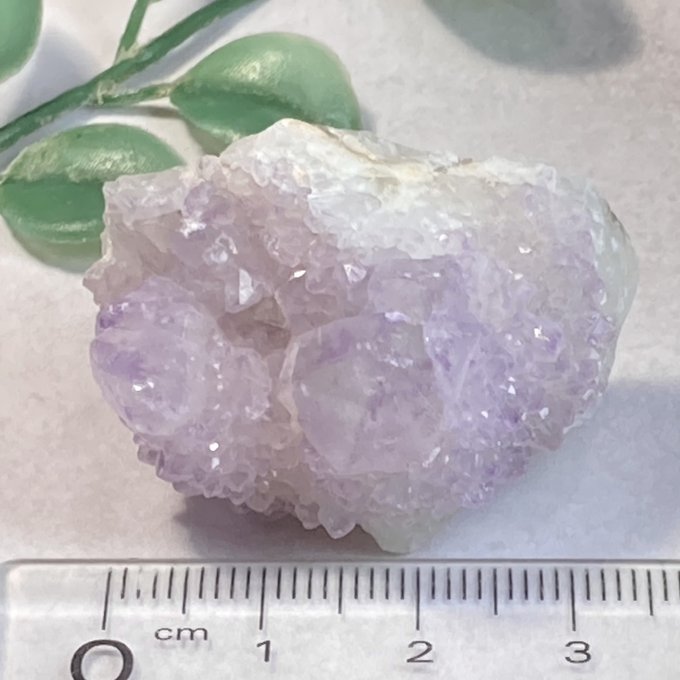 トライゴーニック✨カクタスアメジスト サボテン水晶 ラフ トライゴーニック✨カクタスアメジスト サボテン水晶 ラフ