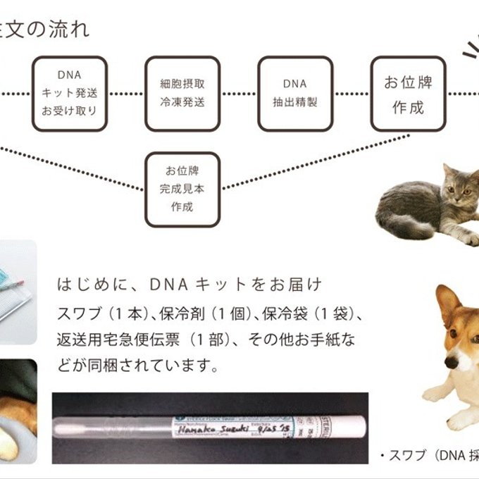 作品画像5枚目