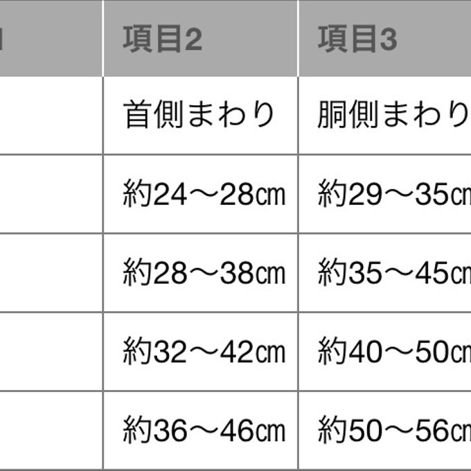 作品画像12枚目