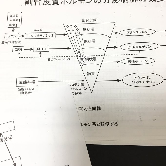 作品画像4枚目