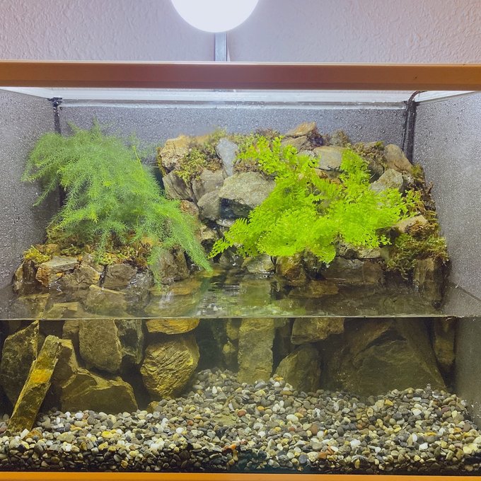 水の流れる滝テラリウム水槽 30サイズ - sangwaa | minne 国内 水の流れる滝テラリウム水槽 30サイズ - sangwaa | minne 国内