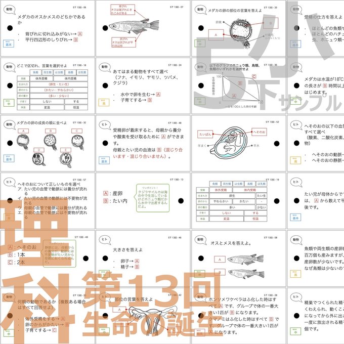 作品画像4枚目