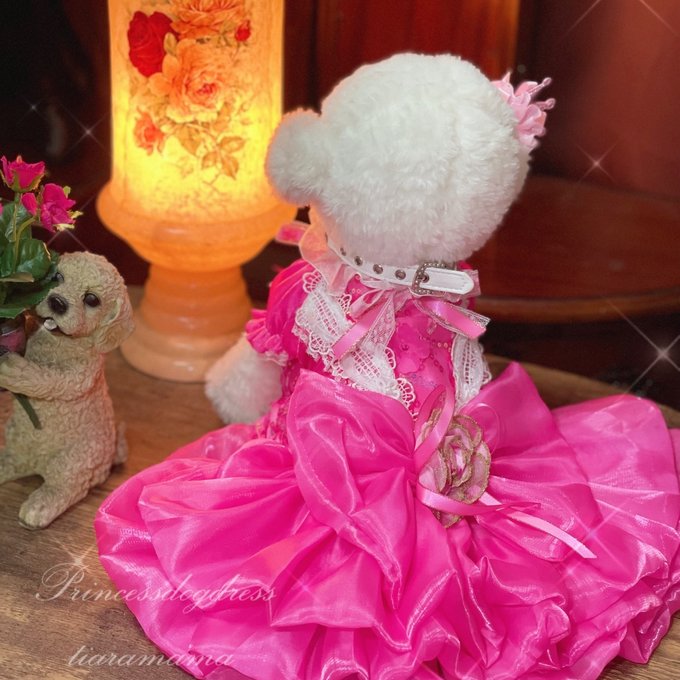 Mサイズ 装飾品付き オーロラ姫ドレス 重く Mサイズ 装飾品付き オーロラ姫ドレス 重く