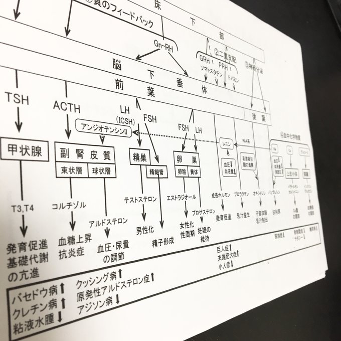 作品画像2枚目