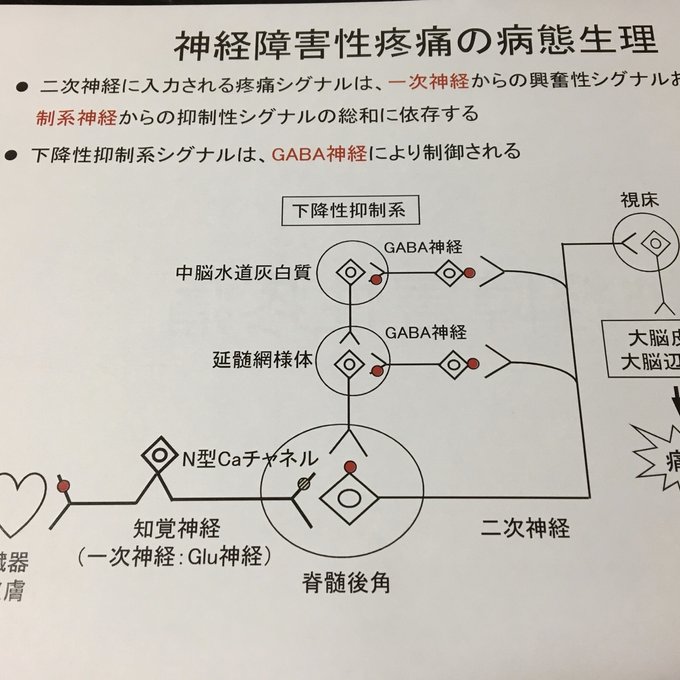 作品画像7枚目