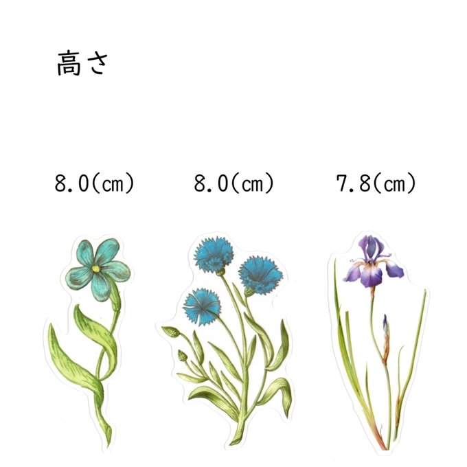 作品画像2枚目