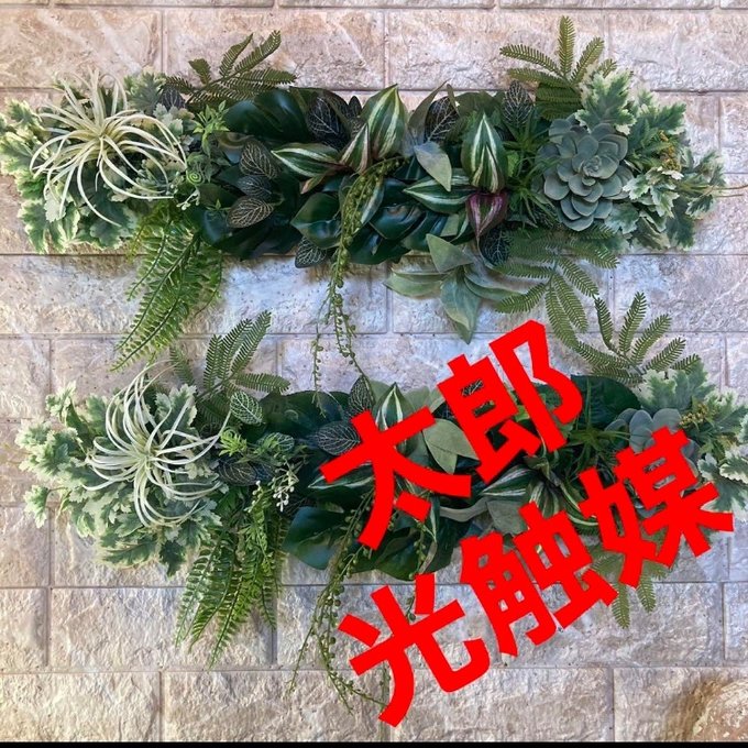 光触媒 人工観葉植物 ウォールグリーン フェイクグリーン 壁掛け 光触媒 人工観葉植物 ウォールグリーン フェイクグリーン 壁掛け