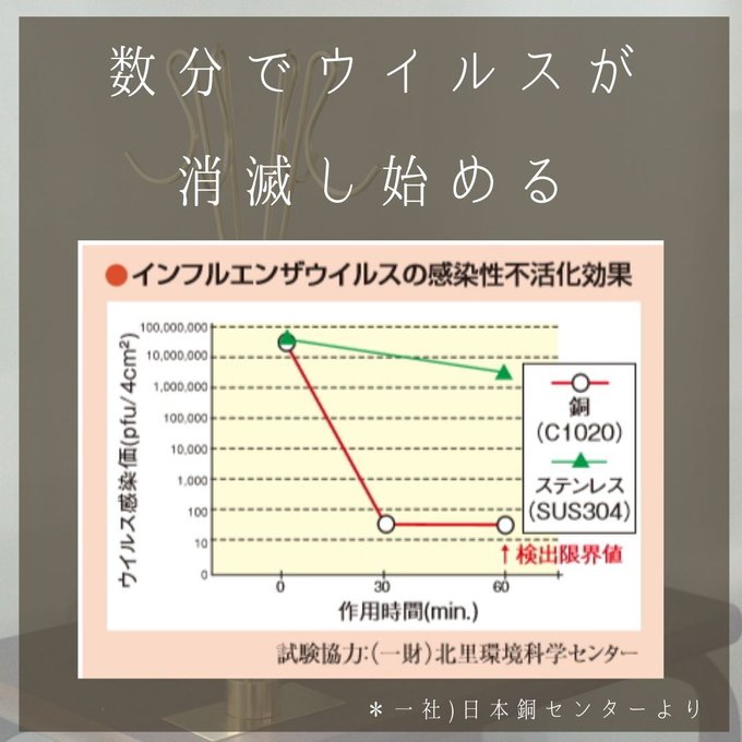 作品画像10枚目