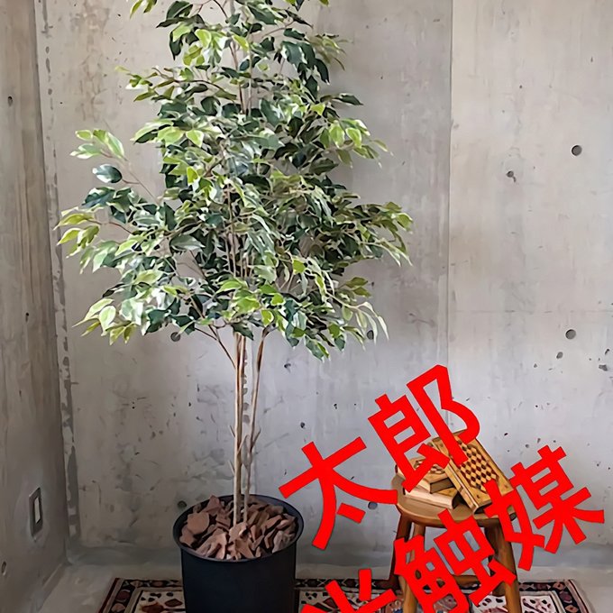 光触媒人工観葉植物ウォールグリーンフェイクハンドメイド 光触媒人工観葉植物ウォールグリーンフェイクハンドメイド